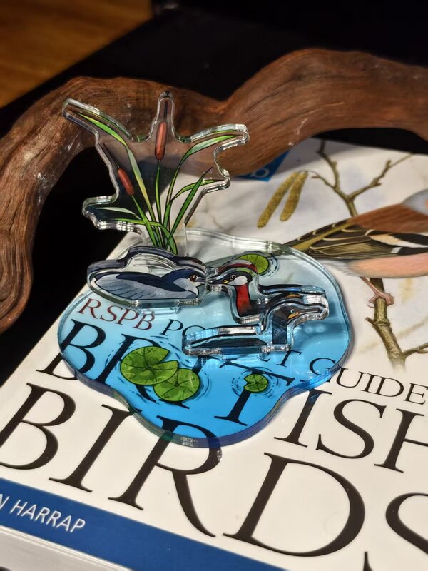 [Consignment Goods in Stock] Desktop Pond! Acrylic Plug-In Play Habitat DIY Acrylic Kit for Holding Live Species