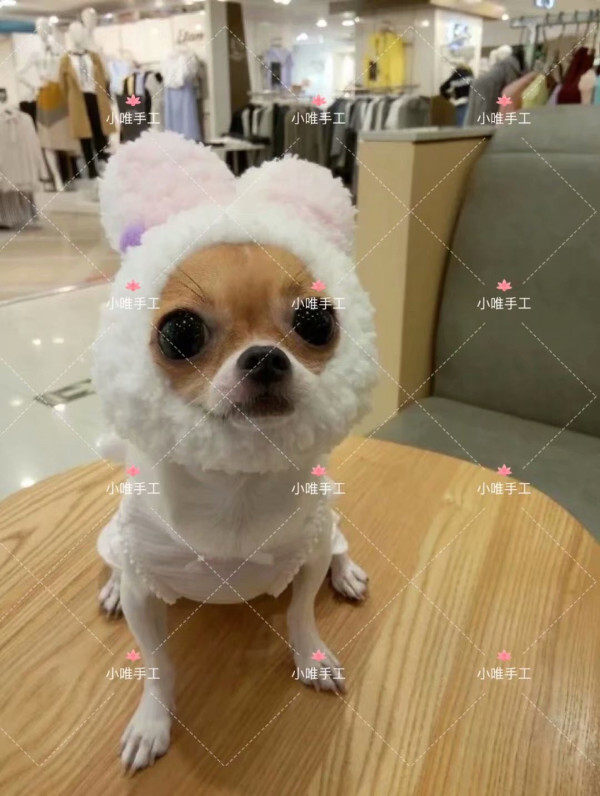 Pet rabbit hat headgear cat dog large dog cross-dressing rabbit ear headband handmade wool cap