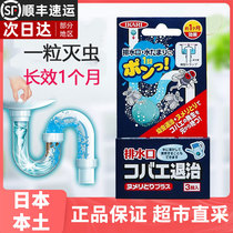 ikari Japan import sewer insecticide toilet small flying insect to kill the god instrumental grain toilet kitchen pipe