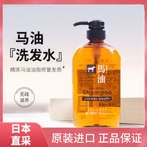 Japan Imported Horse Oil Shampoo Shampoo SILICONE OIL CONTROL OIL BEAR WILD GREASE LOTION BODY WASH TWO-IN-ONE