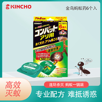 Japan Kingbird Ants of the Nest End Kitchen Garden in addition to killing Ant Gum Kerstars Household Gods One Wo End