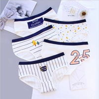 2 tải nhẹ mô hình cặp đôi đồ lót kết hợp mới mô hình nam boxer nữ tam giác cặp đồ lót sọc bông quan ao lot nam