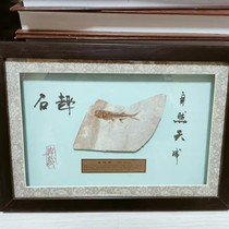 Fish fossil Chaoyang western Liaoning paleontological wolf-fin fish fossil ornaments pendants great gifts single fish plate single plate original plate