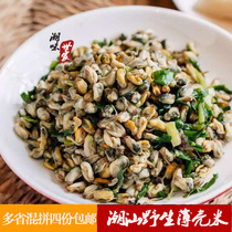 Chaoshan specialty seasonal seafood fresh thin shell rice Seafood shellfish sea melon seeds spelling 4 Shunfeng