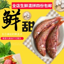 Chaoshan specialty Chaozhou fish rice red fish rice instant safflower peach fish red peach fish rice fresh made 500g