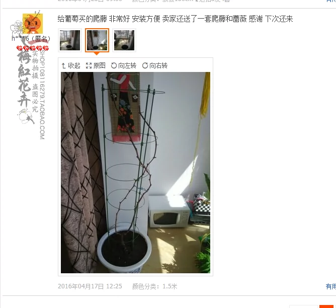 Trung quốc hoa trụ cột dưa chuột bracket nguồn cung cấp vườn bonsai chậu trang trí tăng dây leo mùa tăng giá