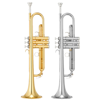 Yamaha trumpet YTRS1 S1S B flat beginner grade examination professional playing gold lacquer silver plated Bb brass trumpet