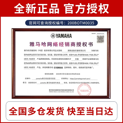 Yamaha, профессиональная скрипка для начинающих из натурального дерева, «сделай сам»