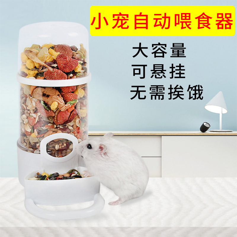 Dragon cat automatic feeder Hardware products Dutch pig pig pig pig pig pig pig bear hedgehog automatic mini-pot anti-tumble