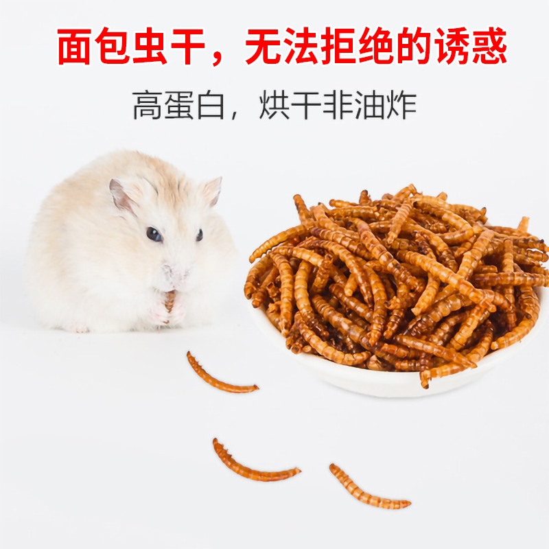 Hamster Bread Worm Dry Snack Hedgehog Food Nourishment Supplies Dutch Pig Golden Silk Bear Feed Main Grain Yellow Pink Worm Dry-Taobao