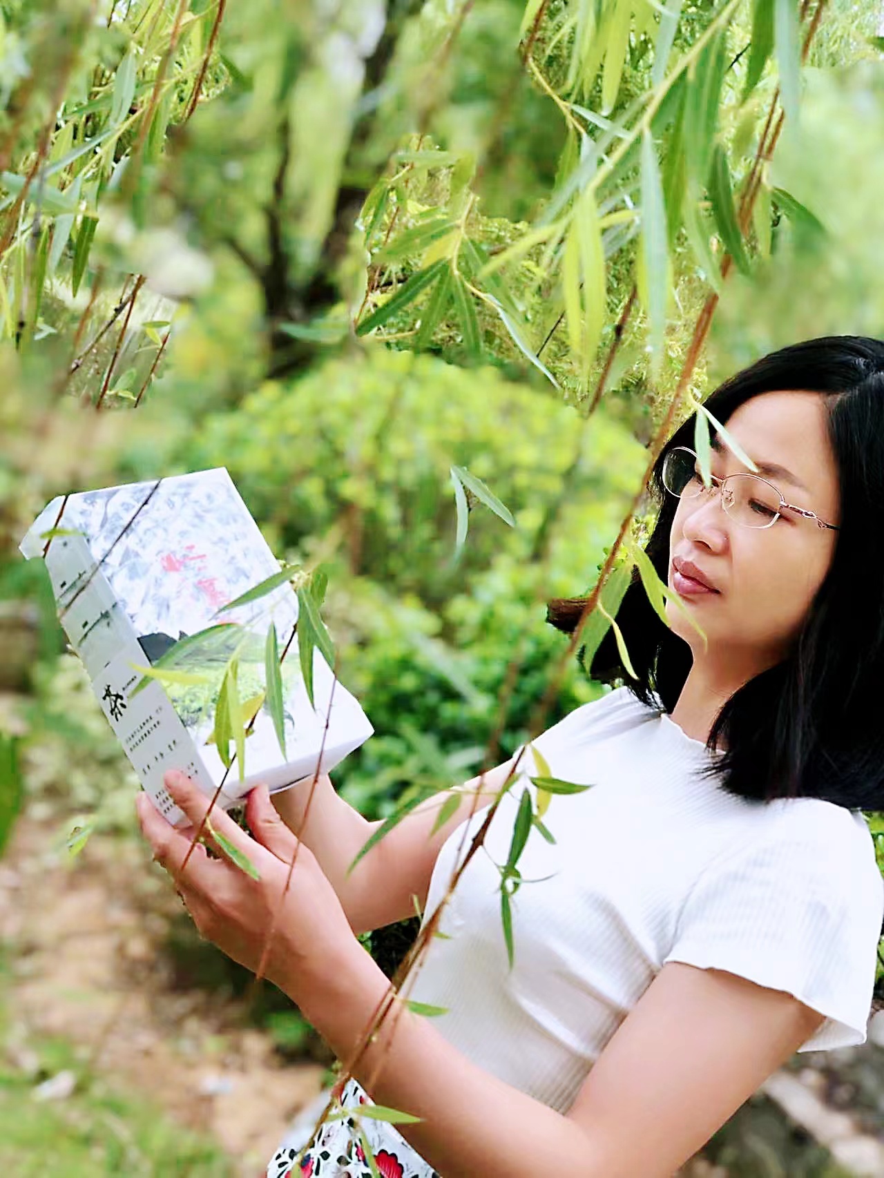 (Fenghua Zhengmao) 2022 Spring tea Anxi is delicious with Tieguanyin orchid fragrant and half catty