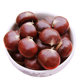 In 2023, raw chestnuts will be moved to the west, fresh Yanshan oil chestnuts, wild hairy chestnuts, large, medium and small grains, and freshly picked raw millet from Hebei.