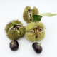 In 2023, raw chestnuts will be moved to the west, fresh Yanshan oil chestnuts, wild hairy chestnuts, large, medium and small grains, and freshly picked raw millet from Hebei.