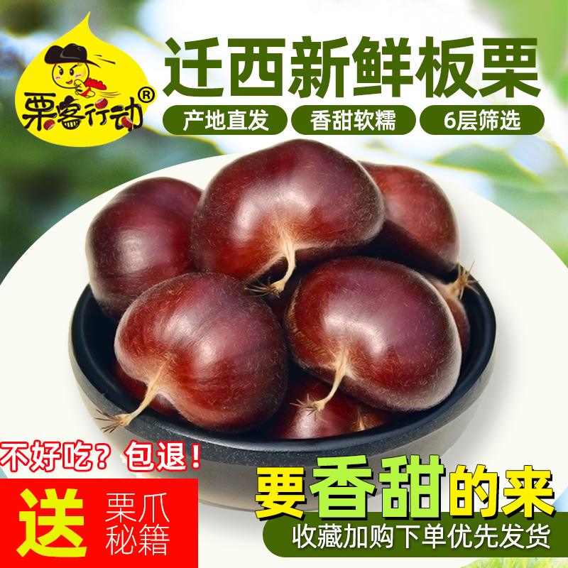 2021 Qianxi raw chestnut authentic Yanshan oil CHESTNUT Chestnut big grain sweet 3kg 5kg Hebei chestnut fresh