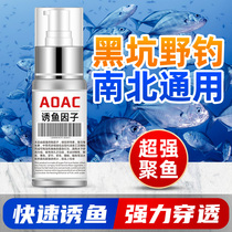 AOAC fishing medicine Heikeng wild fishing formula Crucian carp lure fish nest material Bait Fruit acid medicine lure fish additive