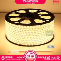 Zhengtai lighting LED light belt 3528 patch 5050 living room ceiling waterproof long strip super bright light belt 220V