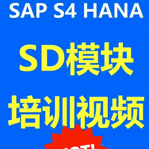 Sap Sd Module S4Hana Training Video, Top Lecturer, Sd Expert Intensive Course