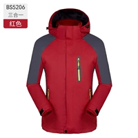 Мужчина-Ред-Бс5206