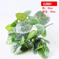 Белая сетка