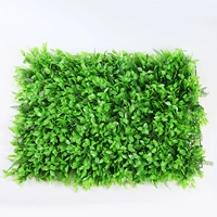 Трава чили 40*60