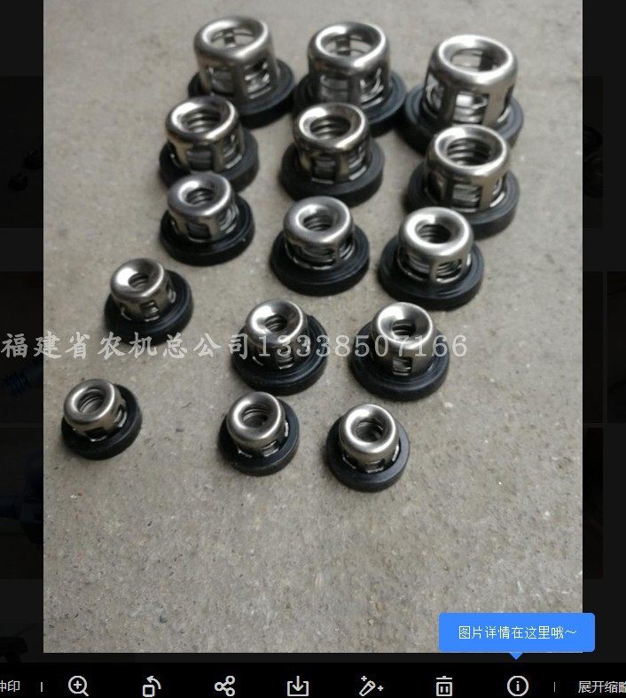 Luxiong sprayer LS-100F three plunger pump spring valve stainless steel check valve