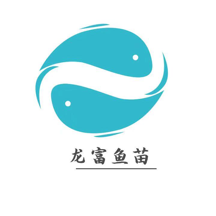 龙富鱼苗