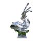 ສະແຕນເລດຂະຫນາດໃຫຍ່ waterscape wave sculpture custom hollow moon metal ball mirror dolphin real estate ornaments