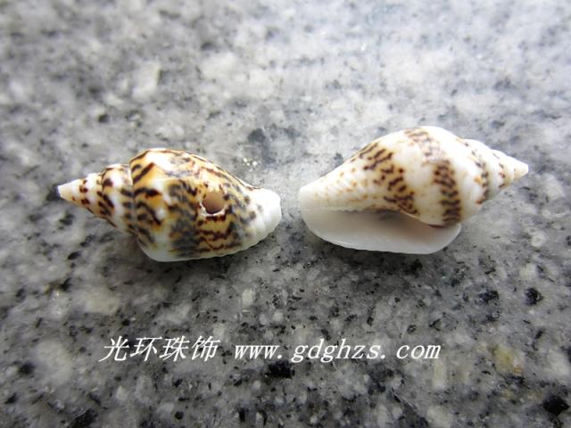 Full DIY material 14mm middle hole natural snail shell beads clothing accessories Accessories Loose Beads