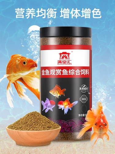 Рыба с высоким содержанием белка ест золотую рыб