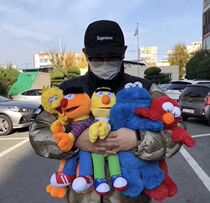 High quality Sesame Street Joint Paparazzi Y factory Sesame Street Plush Paparazzi Doll Tide stars the same dolls