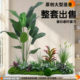 Bionic Plant Landscaping for Entrance Areas, Hotel Window Displays, Exhibition Halls, Floor-Standing Ornaments, Landscaping Combinations, High-End Artificial Green Plants