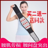 Спонтанная тепловая линия пояса пояса Тома Лин, согреть боль в талии, боль в талии, поддерживать талию и талию, потерю талии талии.