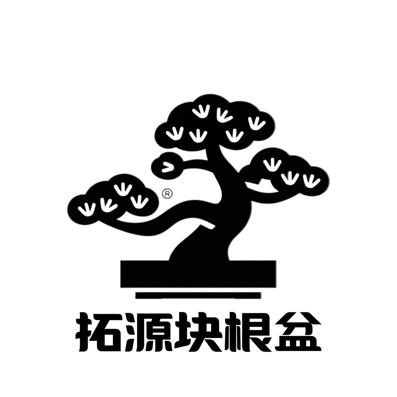 拓森块根盆器店