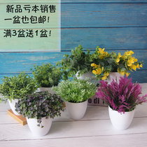 Simulation grass plastic fake flower dried flower decoration small potted home coffee table floral decoration living room bedroom decoration