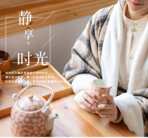 Shirt Chinese clothing Joker collar arrow sleeve short shirt Ming autumn and winter