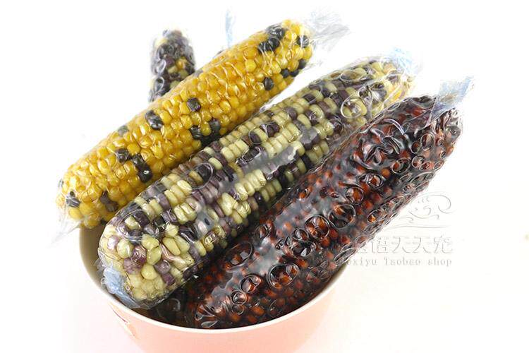 Dragon cat hip-hop dragon cat grindstone snacks mini corn 1 root dragon cat food tasty and grindstone grinding tooth stick snacks