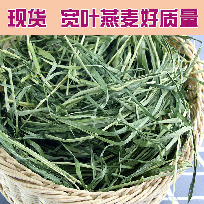 2020 drying green oate wheat straw platoon fur polo dragon cat grass 200g soft grass nutrition high pasta hay 4 parts