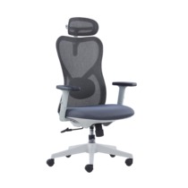 Guangdong Fabricant Direct Sales New Mesh Office Chair High Back Boss Chair Staff Chair CH-539 Set