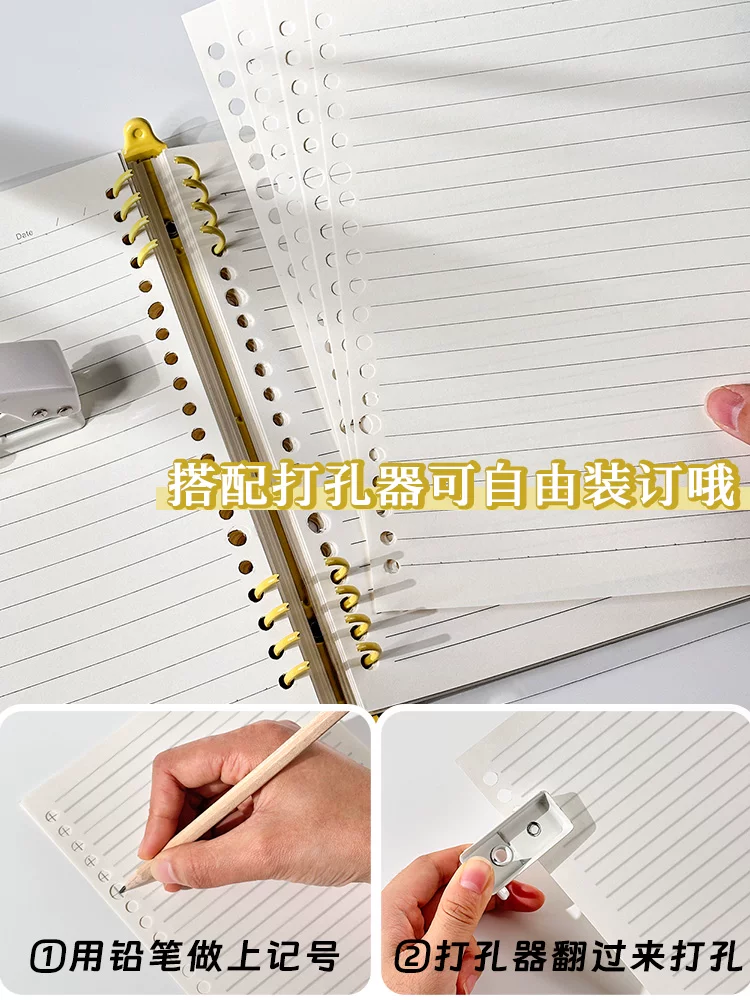 Transparent capacious removable lock, high quality folder, hole puncher, tear-off sheet, DIY