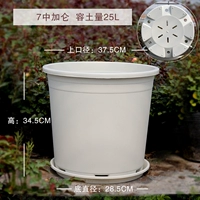 (3 Установки) Callon Beige [нет печатных переводов содержит лотки]