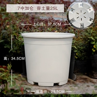 (3 инсталляции) Среди 7 -галлонов цветов риса [одиночный однократный бассейн]