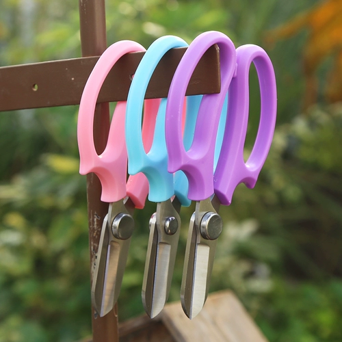 花剪园艺花艺剪刀宽头家用花剪鲜花花道剪花枝树枝修理工具修花枝