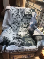 Кошка (вертикальная версия)