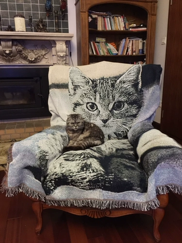 Диван, шарф, гобелен, в американском стиле, из хлопка и льна