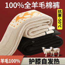 (2023年新款)男士羊毛加厚过冬棉裤W