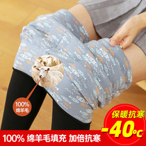 (Cui Wanzhi Factory) Upgraded hip-lifting version of 100-point sheep wool cotton pants for women thermal pants for outer wear leggings