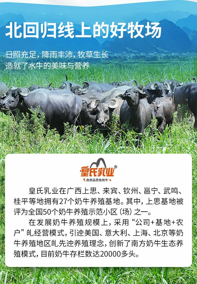 皇氏乳业甲天下水牛纯牛奶200ml*10