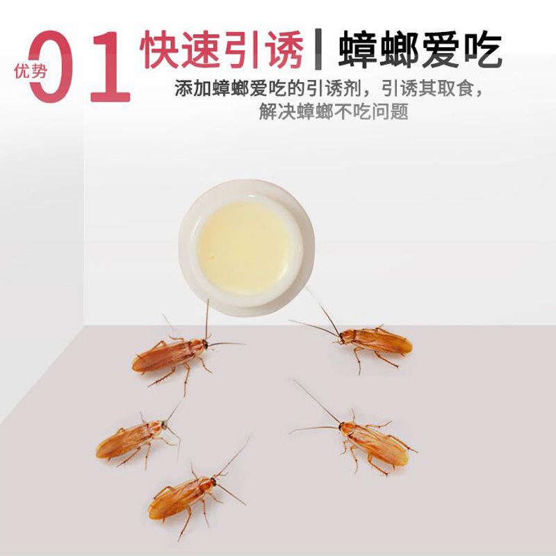 8 Grain Killing of Gum Bait Powder for Domestic Cockroach Removal Cockroach House Bait Pill Full Nest End Murine Insecticide