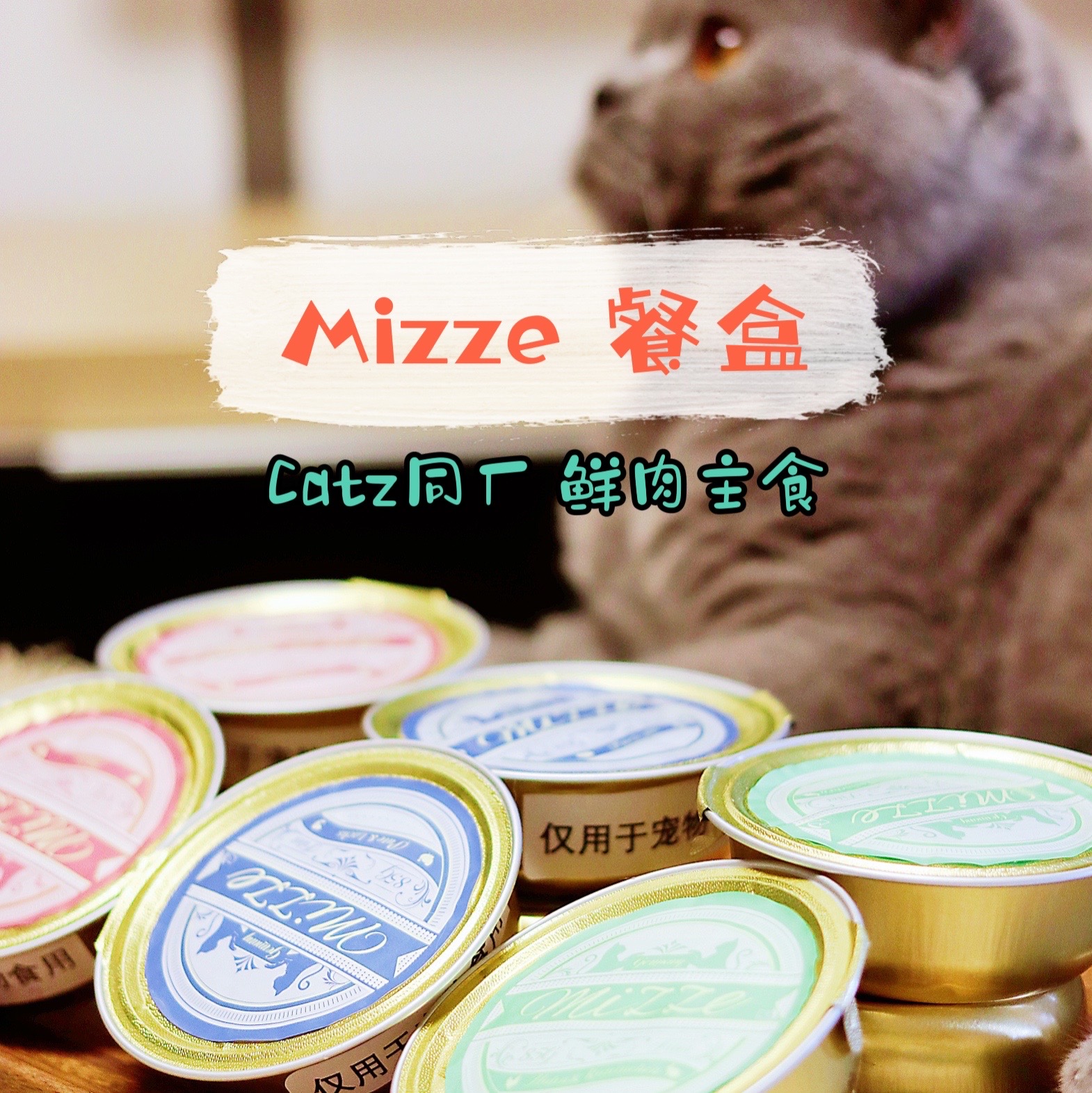German Mizi Mizze lunch box exquisite same factory staple food wet food cat canned grain-free rib meat full stage