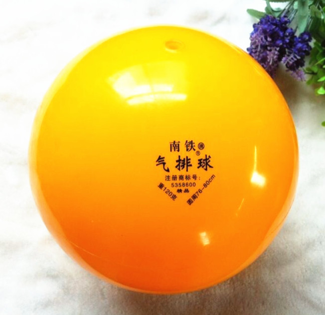 Ballon de volley - Ref 2016504 Image 4